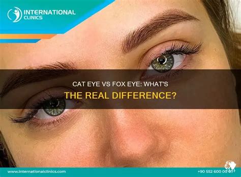 Understanding the Cat Eye vs. Fox Eye Distinction Understanding the Cat Eye vs. Fox Eye Distinction